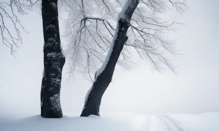 Soustružnická – winter