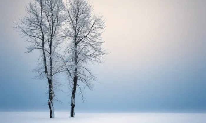 Spolkový dům Typografická beseda – winter