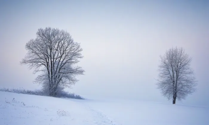 Srbecká lávka – winter