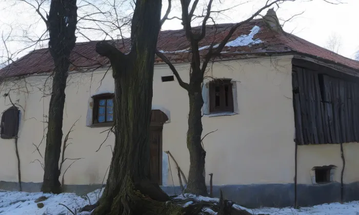 Stříbrná Skalice – historical