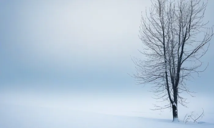 Stádlecký most – winter