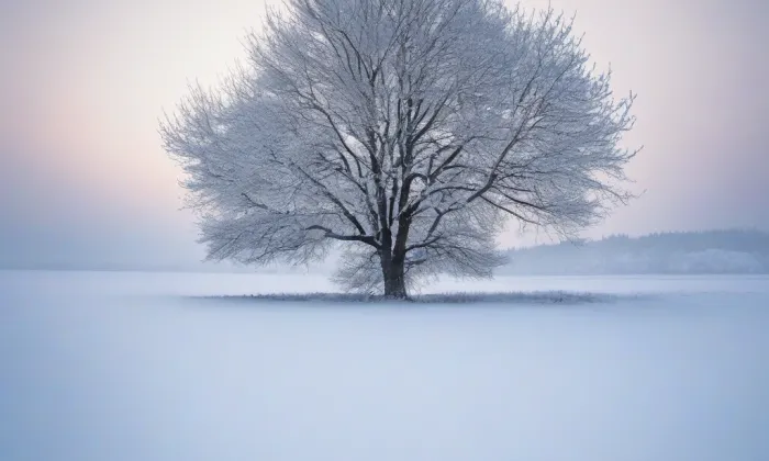 Státní archivní škola – winter