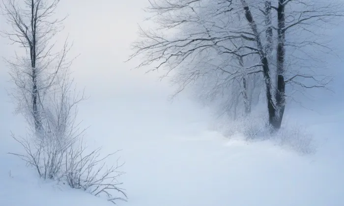 Stará Boleslav – winter