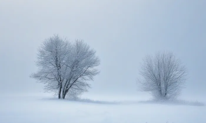 Stará radnice v Brně – winter