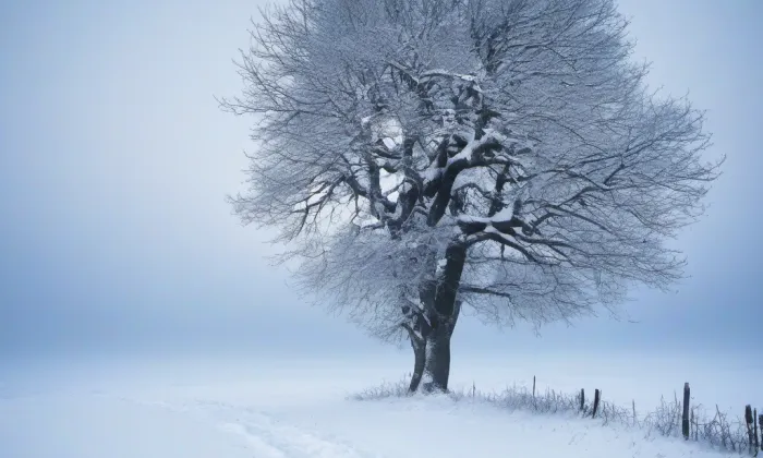 Stará rychta – Havelská brána – winter