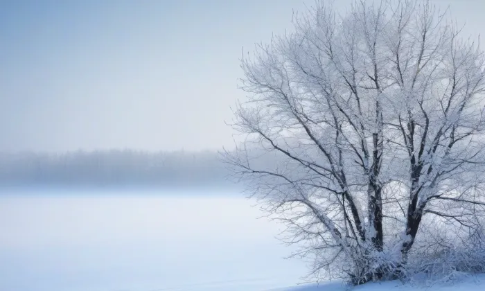Starý zámek Bečváry – winter