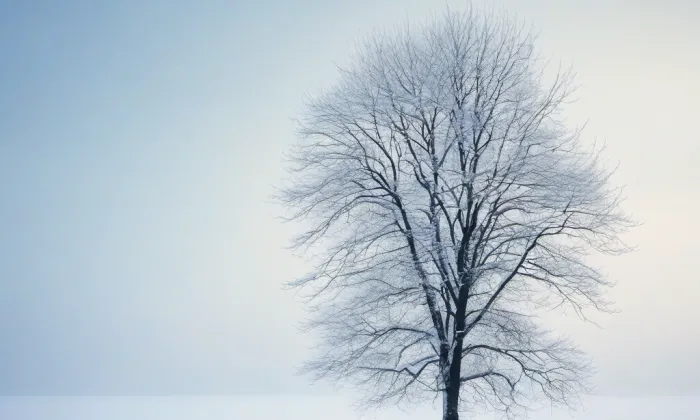 starý zámek Golčův Jeníkov – winter