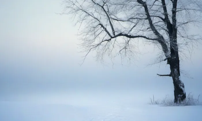 Starý zámek Velké Březno – winter