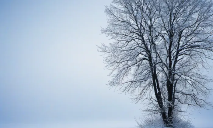 Staroměstská radnice – winter
