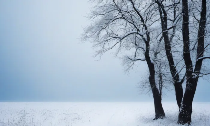 statek Ostrov – winter