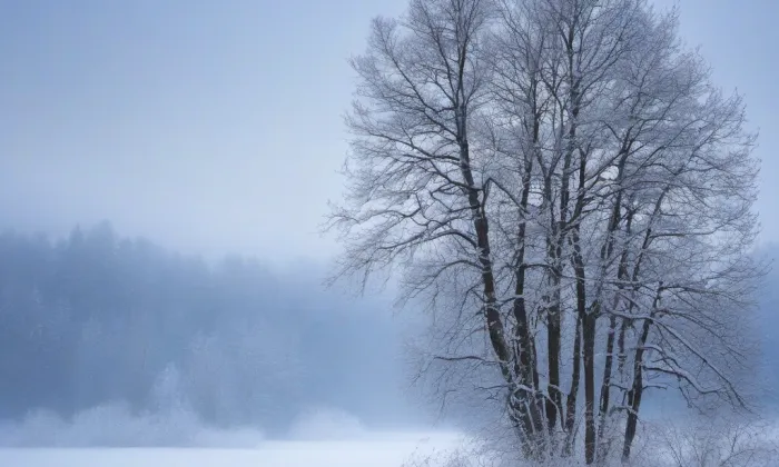 Stezka rozhleden a vyhlídkových míst v Euroregionu Silesia – winter