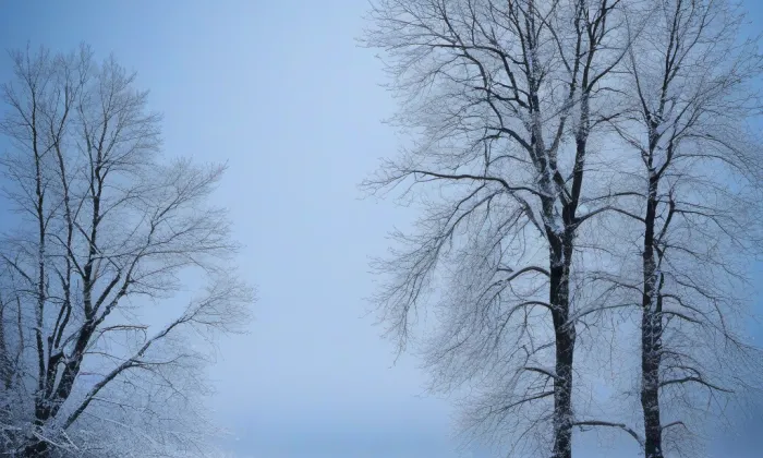 Strážnice – winter