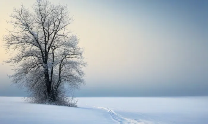 Strašná skála – winter