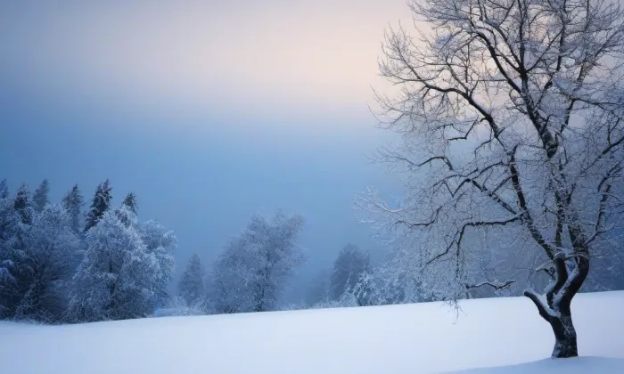 Sudkovy sady – winter