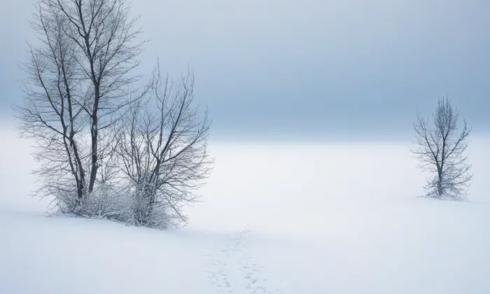 Svádov – winter