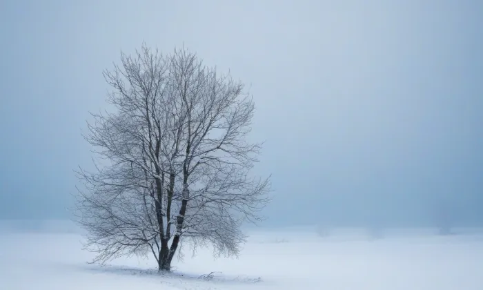 Svatováclavská koruna – winter