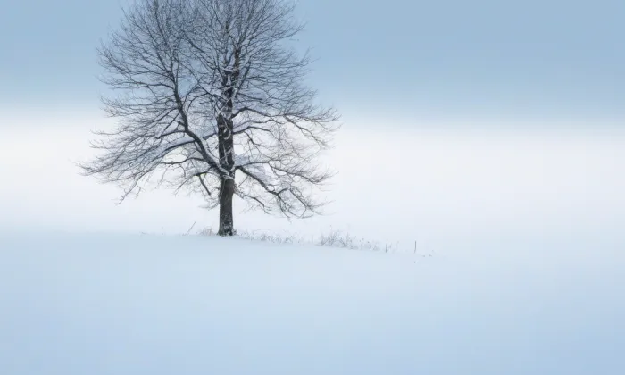 Svatováclavský meč – winter