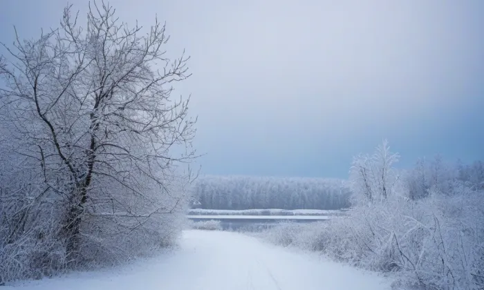 Svatovítský most – winter