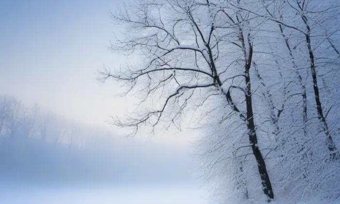 Svinenská brána (České Budějovice) – winter