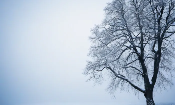 Temenice – winter