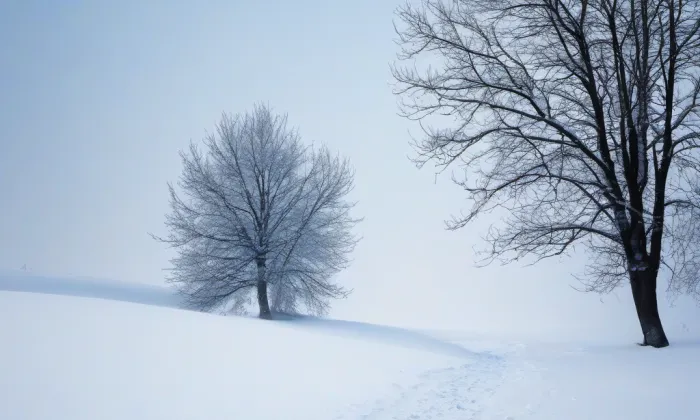 Ticháčkova kaple – winter