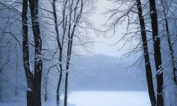 Trauttmannsdorfský palác na Hradčanech – winter