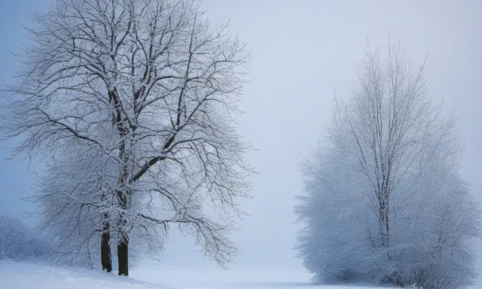 Trauttmannsdorfský palác na Starém Městě – winter