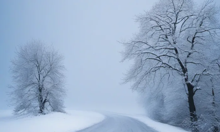Trmice – winter