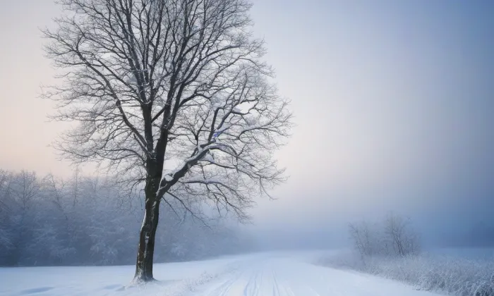 Tuchoměřice – winter