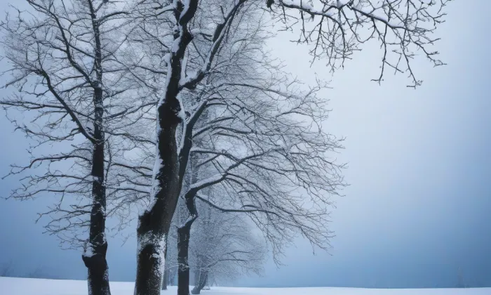 U Dobřenských – winter