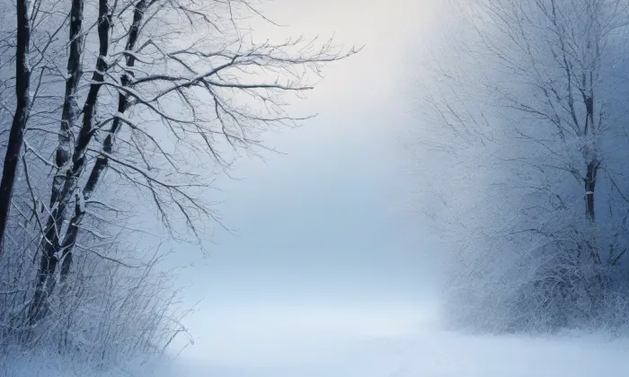 U letohrádku královny Anny – winter
