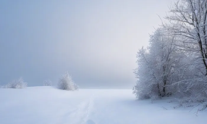 U lužického semináře – winter