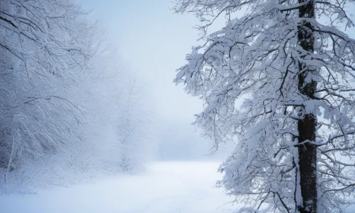 U Zelené ratolesti – winter