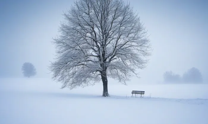 Univerzita obrany – winter