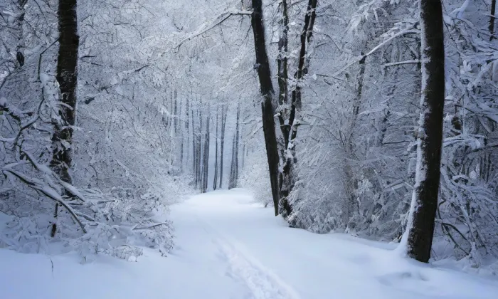 Výšina sv. Metoděje – winter