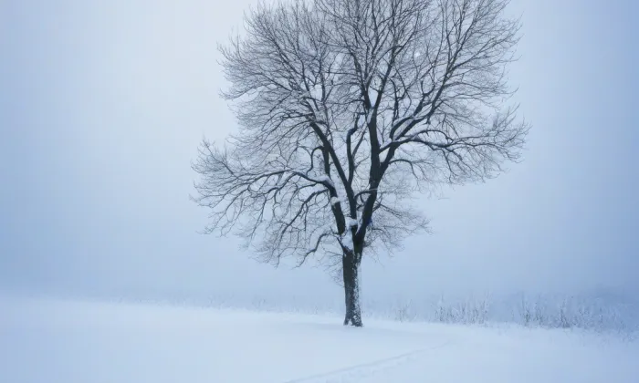 Václavský hrad – winter