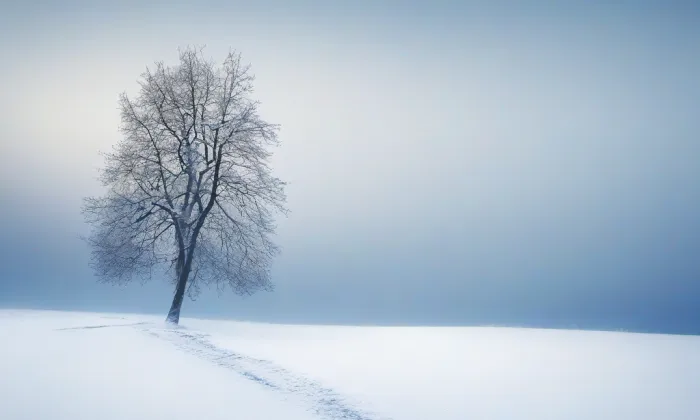 Vídeňská – winter