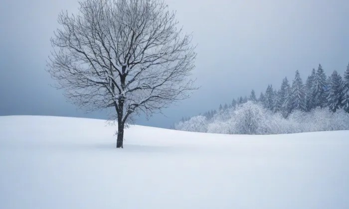 Větrný mlýn Vysoký – winter