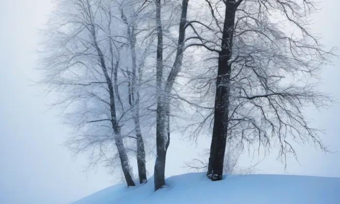 Valdek – winter