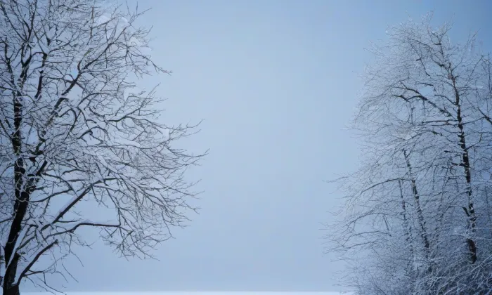 Vildštejn (Skalná) – winter