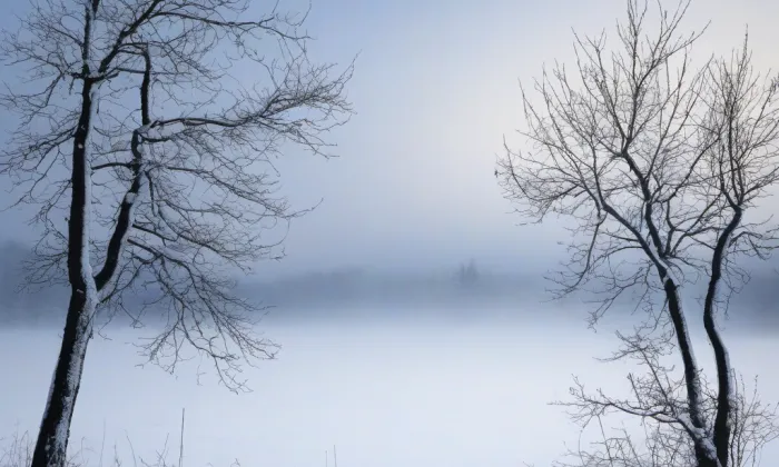 Vltavské brody v Praze – winter