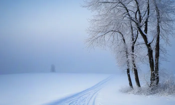VOŠ a SPŠ Kutná Hora – winter