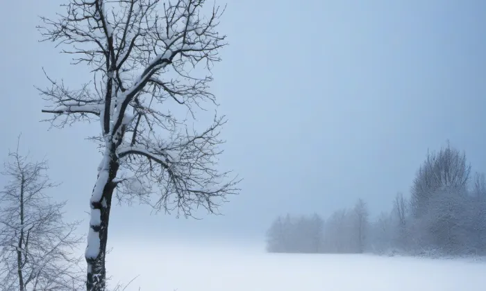 Vodojem na Petrově – winter