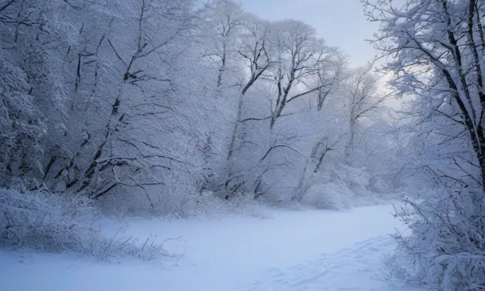 Vojenská akademie v Brně – winter