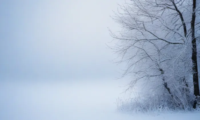 Vrškamýk – winter
