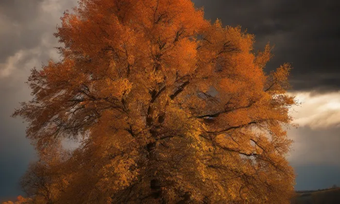 Vyšehradské sady – autumn