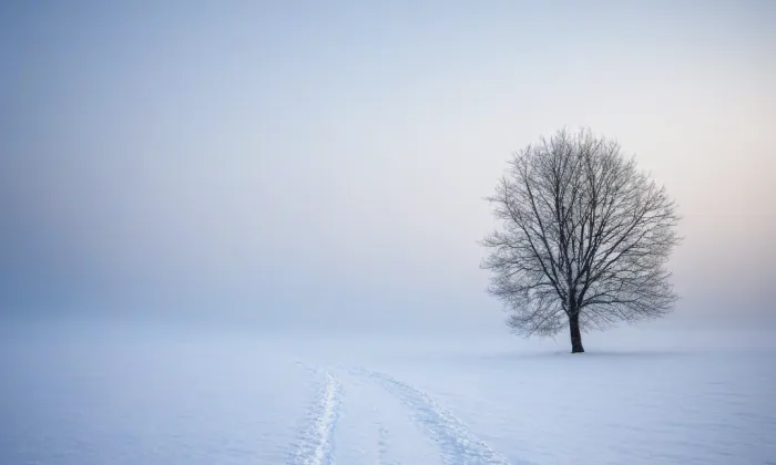Vysoká škola aplikované psychologie – winter
