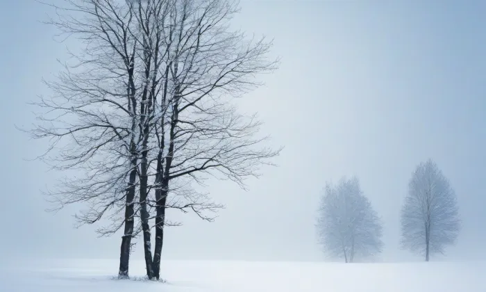 Vysoká škola sociální – winter