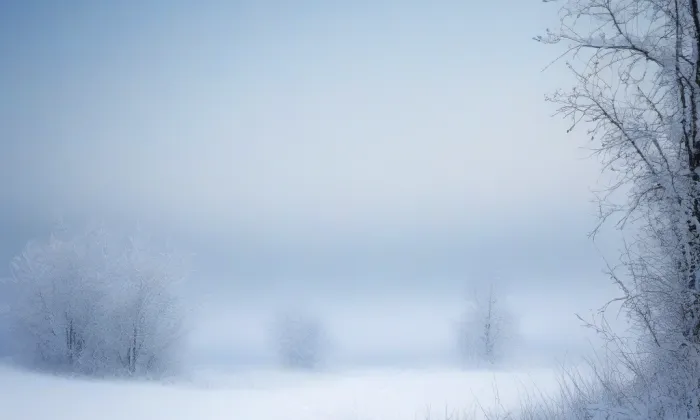 Vysoká škola technická a ekonomická v Českých Budějovicích – winter