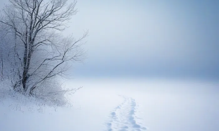 Waltariho – winter